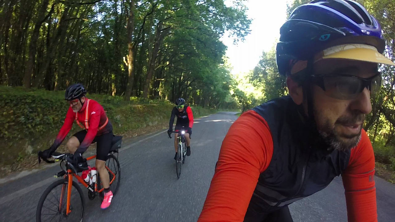 Edgar, Oscar and Me, riding on a secondary road surrounded by trees on both sides