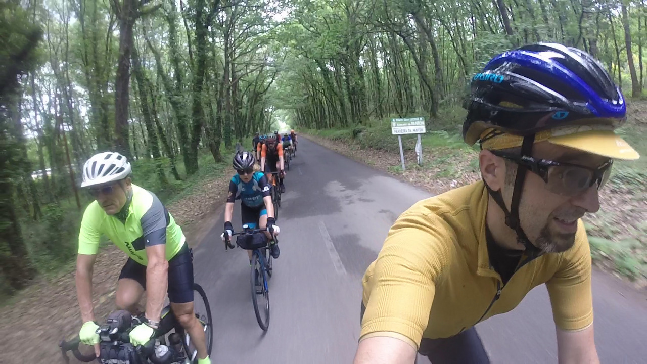 The group, riding on a road surrounded by lots of trees that made a natural roof over our heads