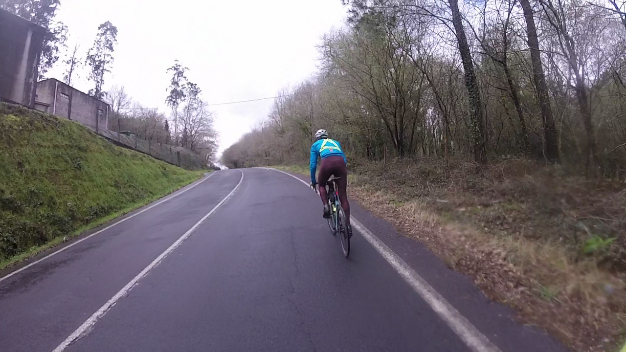 Alejandro climbing its way out of Negreira on an empty wet road, with trees on both sides