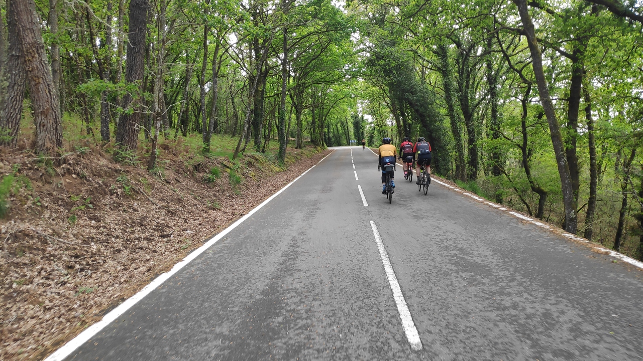 Picture of the group, taken by Dani from a bit far behind. We were riding on the road from Ribadavia to Celanova, passing through some woods on already dried roads