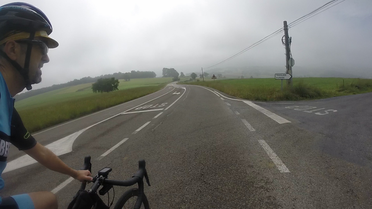 Me, at the top of another short climb, out of Sarria and direction to Samos
