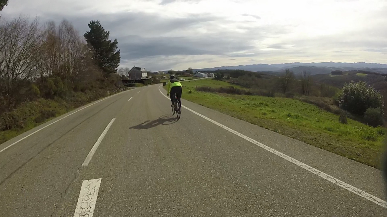 Dani going down on a road with an open view of a valley to the right and big trees to the left