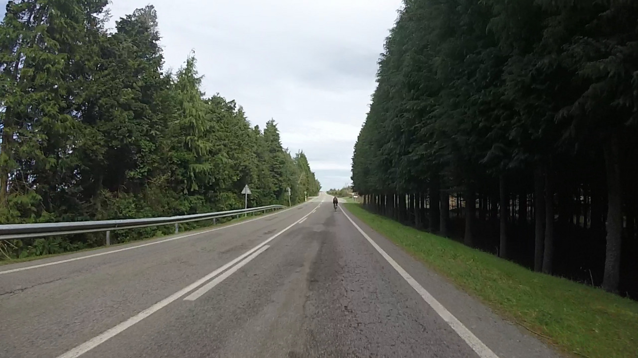 Dani, a small dot at the end of a long straight road, going down fast and passing through some thick woods (on both sides of the road)