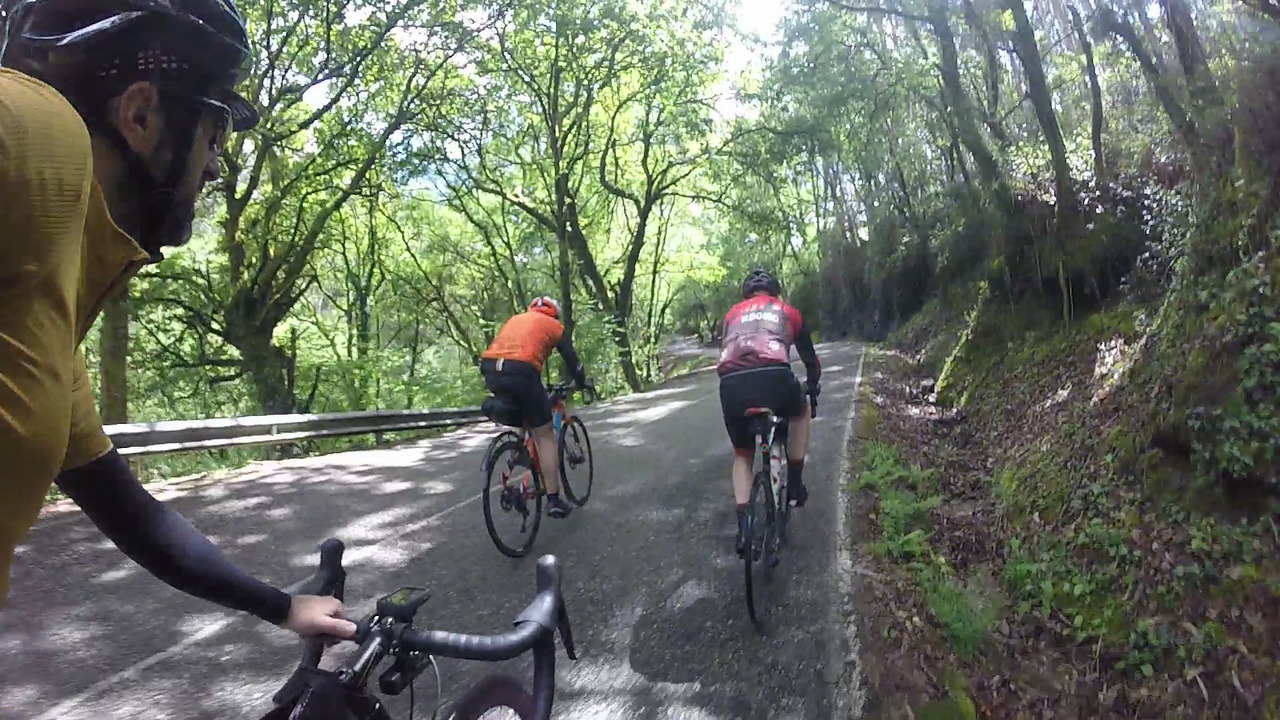 Graeme and Jose, passing through a natural tunnel made by the trees on both sides of the road, I'm right behind them.