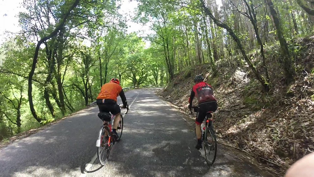 Graeme and Jose, passing through a natural tunnel made by the trees on both sides of the road, giving us some shade at the best time, when the sun was hitting harder