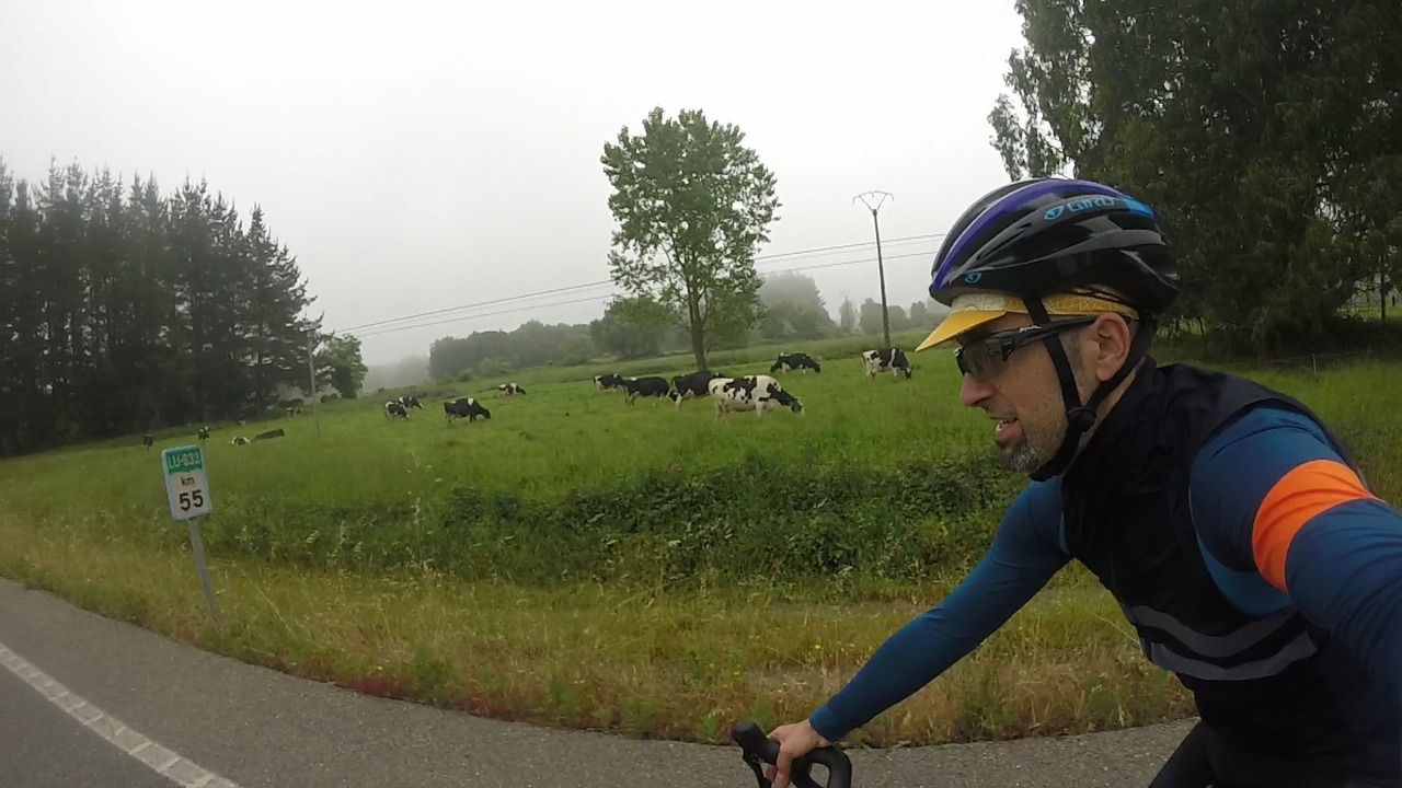 Selfie of myself, passing by a green field full of cows