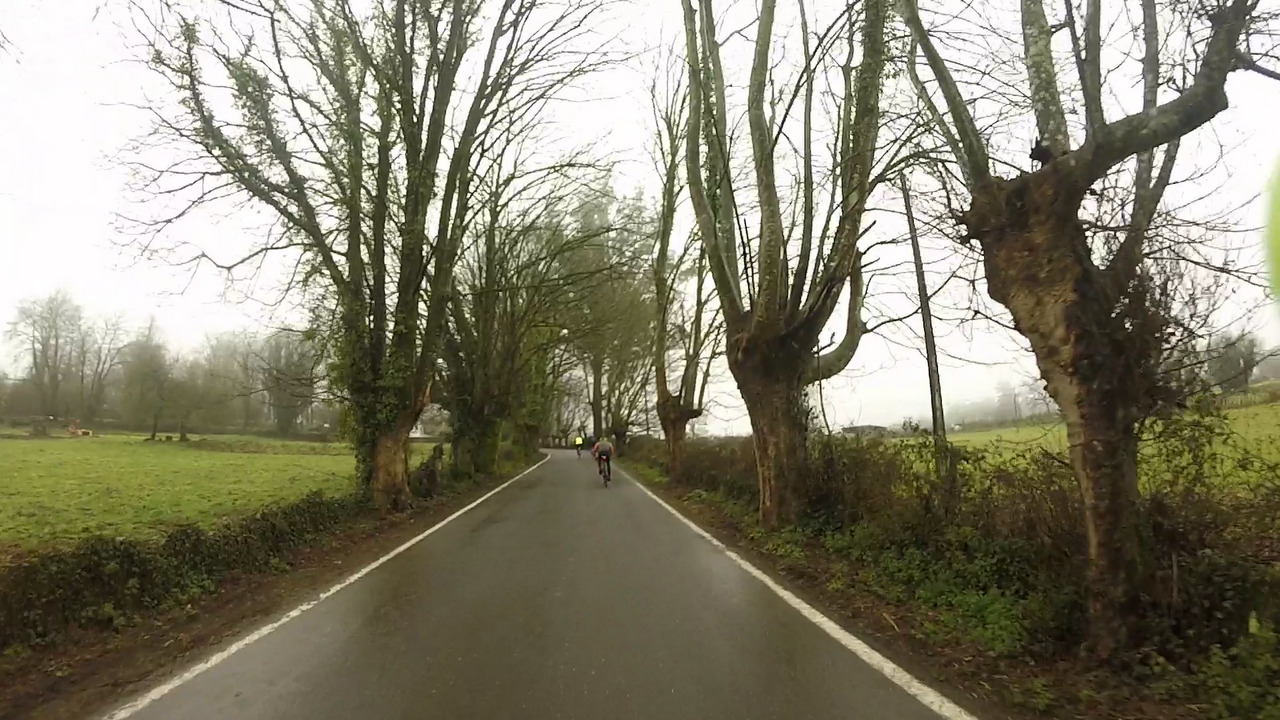 A wet road, surrounded by a few spooky trees, a few cyclists riding